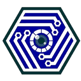 DVP Security logo
